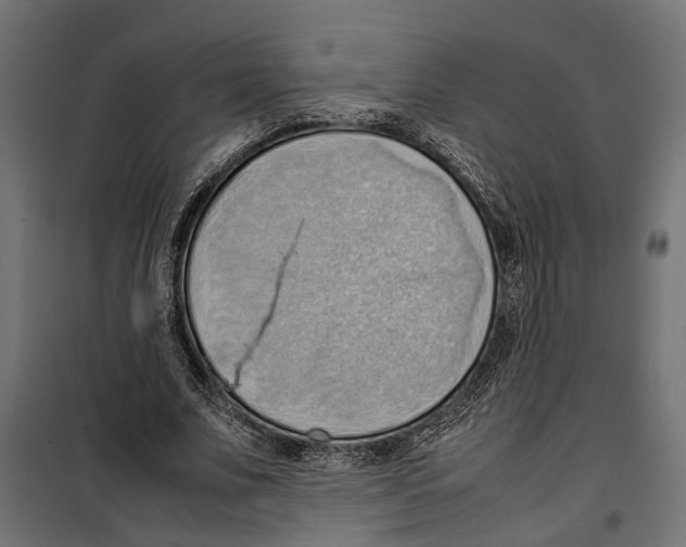 X0000099980679200806201426