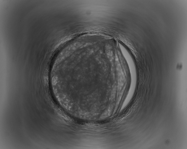 X0000099980681200806201426