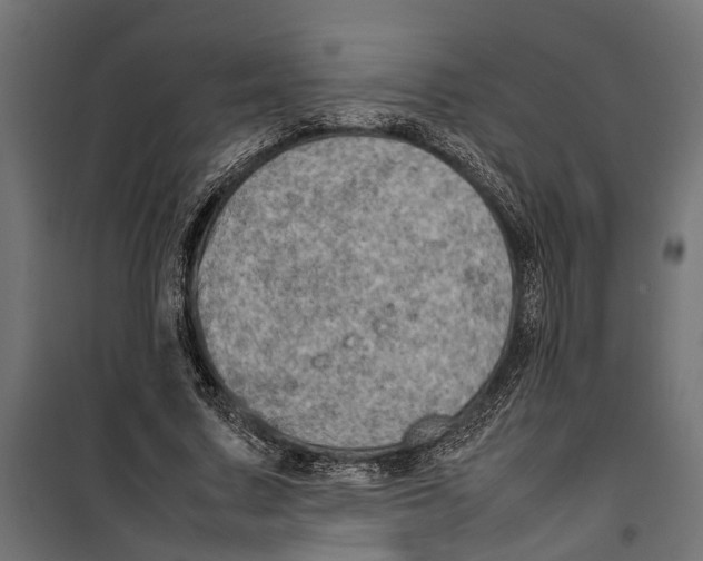 X0000099980683200806201426