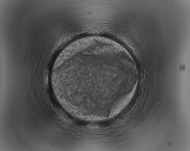 X0000099980685200806201426