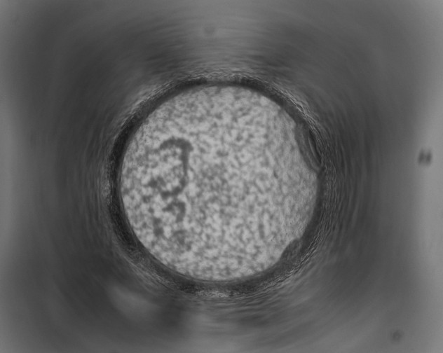 X0000099980687200806201426