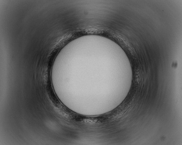 X0000099980690200806201426