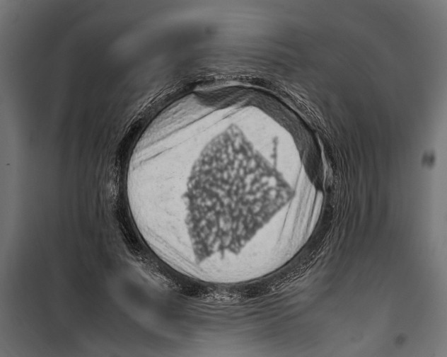 X0000099980691200806201426