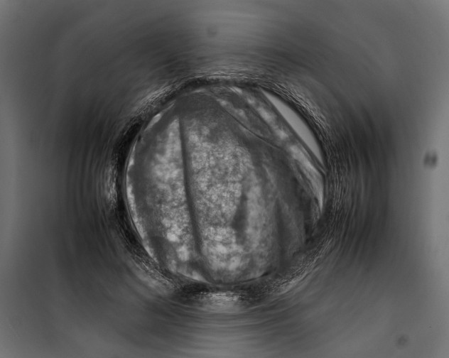 X0000099980692200806201426