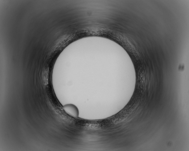 X0000099980694200806201426