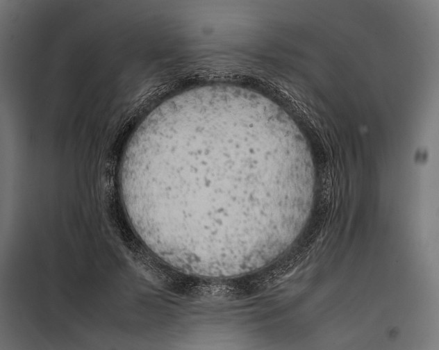 X0000099980695200806201426