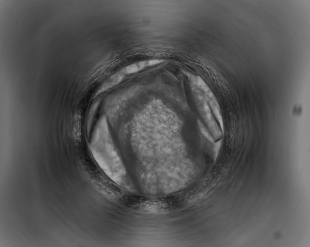 X0000099980696200806201426