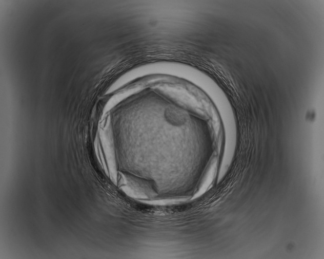 X0000099980697200806201426