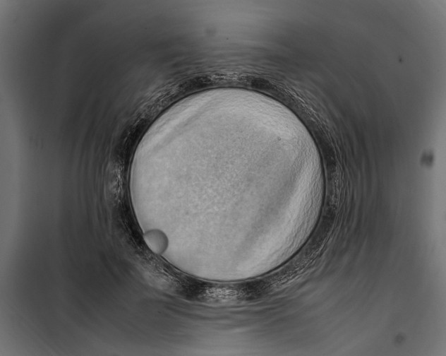 X0000099980699200806201426