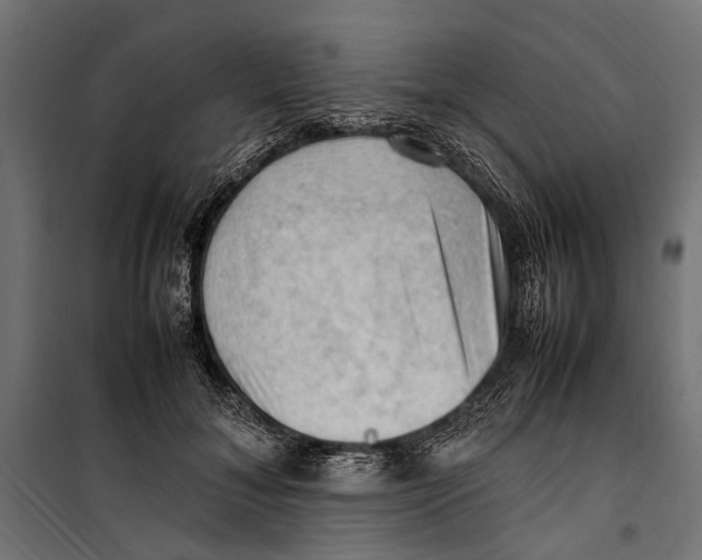 X0000099980700200806201426