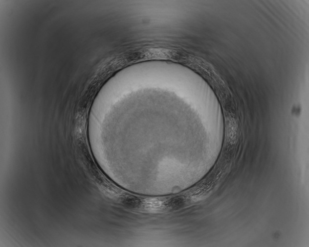 X0000099980701200806201426