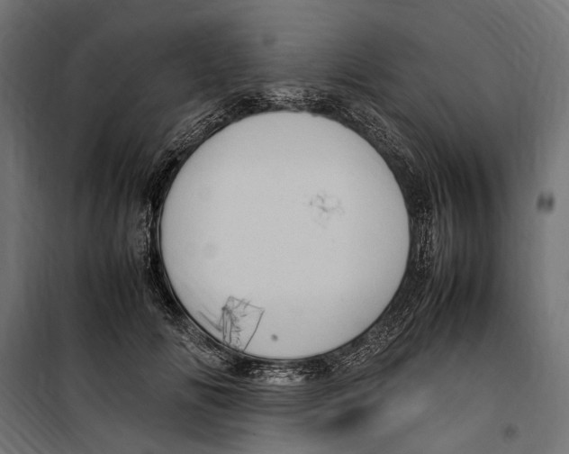 X0000099980702200806201426