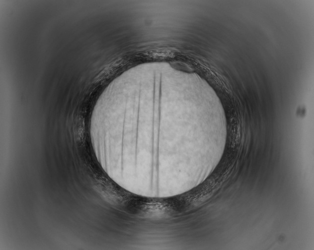 X0000099980704200806201426