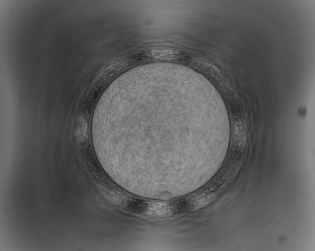 X0000099980705200806201426