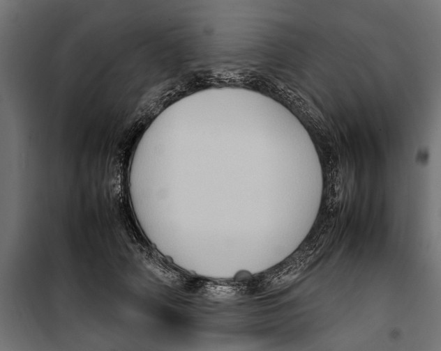 X0000099980706200806201426