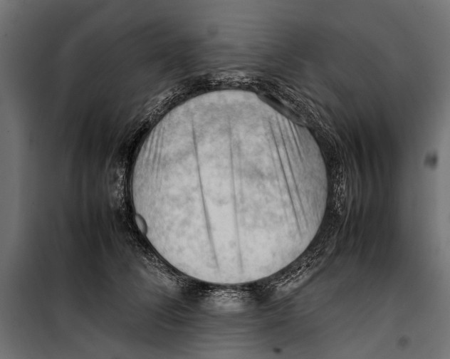 X0000099980708200806201426