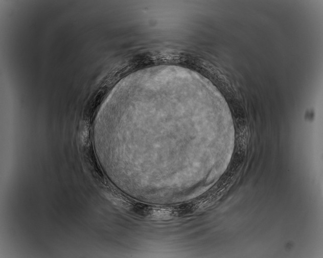 X0000099980709200806201426