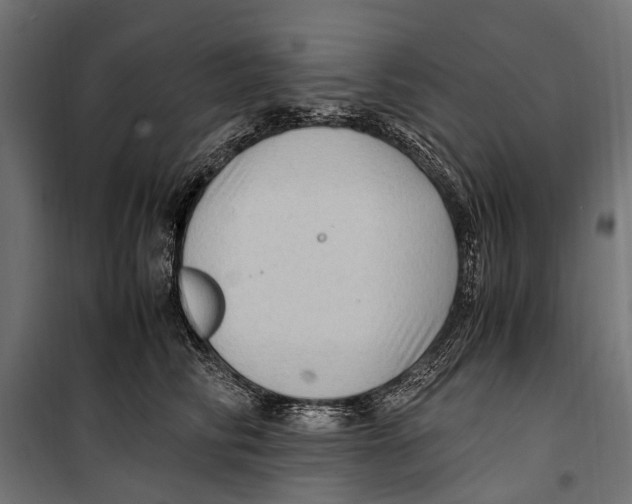 X0000099980710200806201426