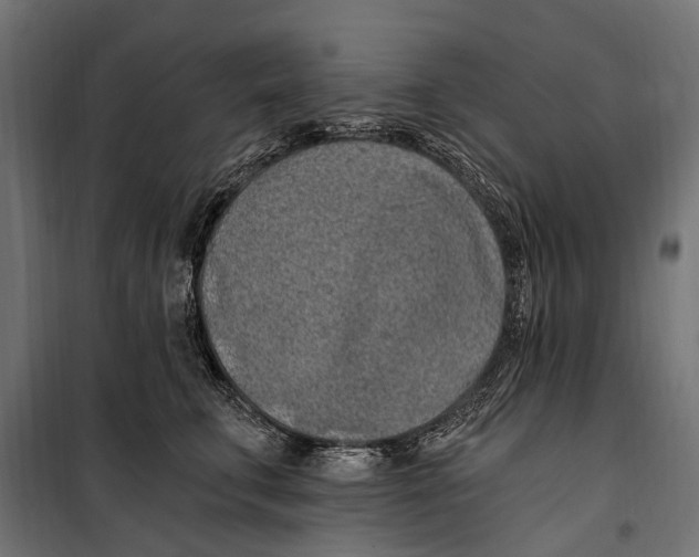 X0000099980711200806201426