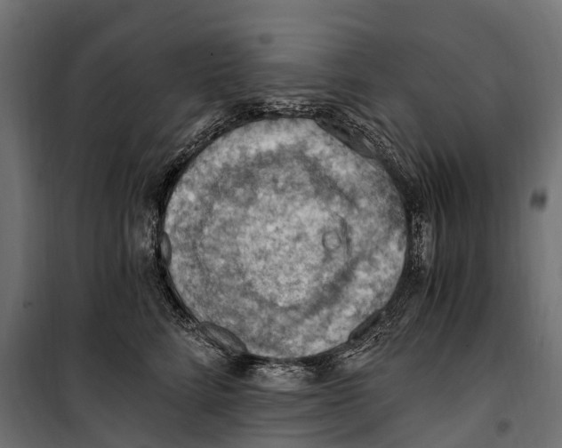 X0000099980712200806201426