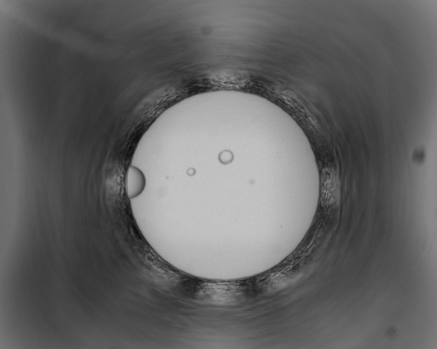 X0000099980713200806201426