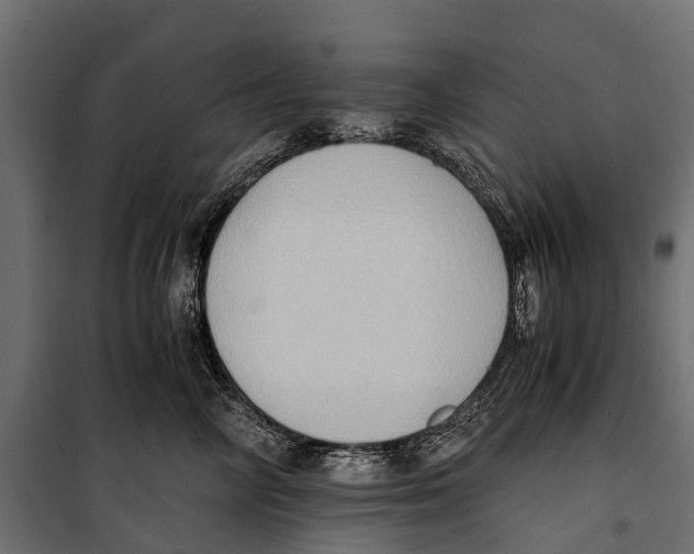 X0000099980714200806201426