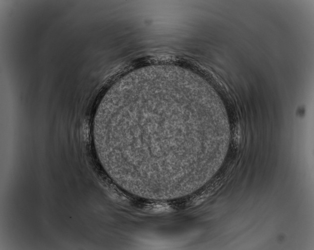 X0000099980715200806201426