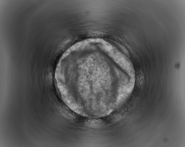 X0000099980716200806201426