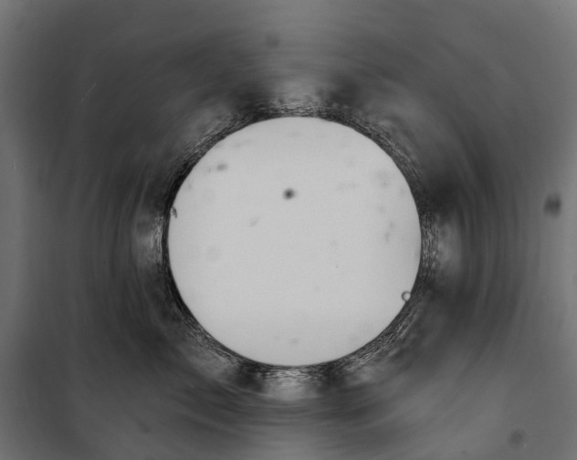 X0000099980717200806201426