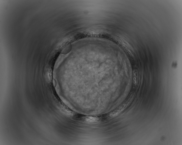 X0000099980718200806201426