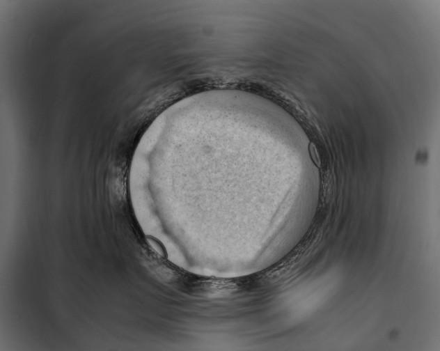 X0000099980719200806201425