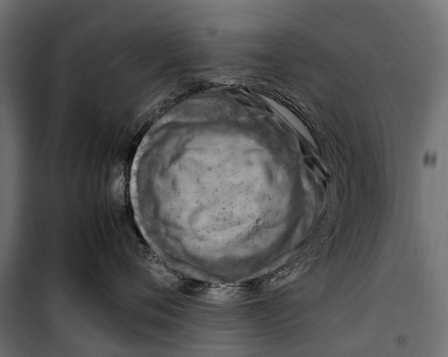 X0000099980720200806201425