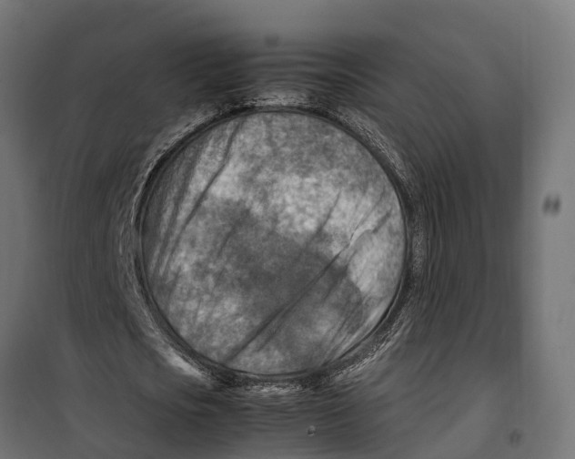 X0000099980721200806201425