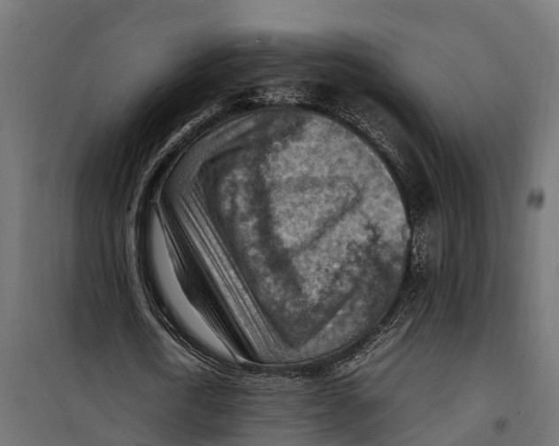 X0000099980722200806201425