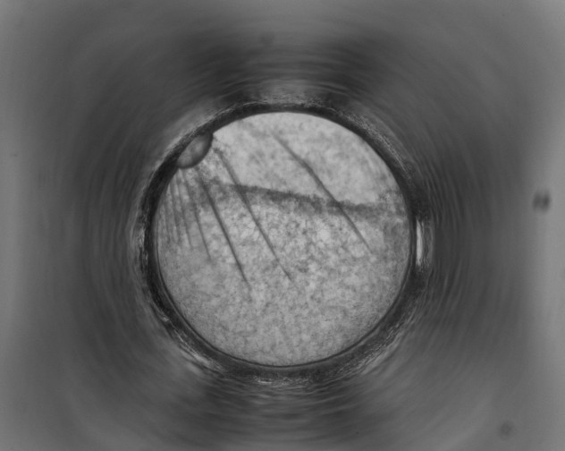 X0000099980723200806201425