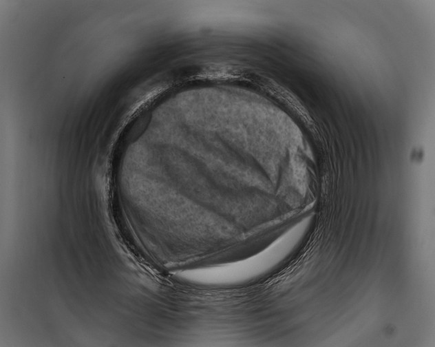 X0000099980724200806201425