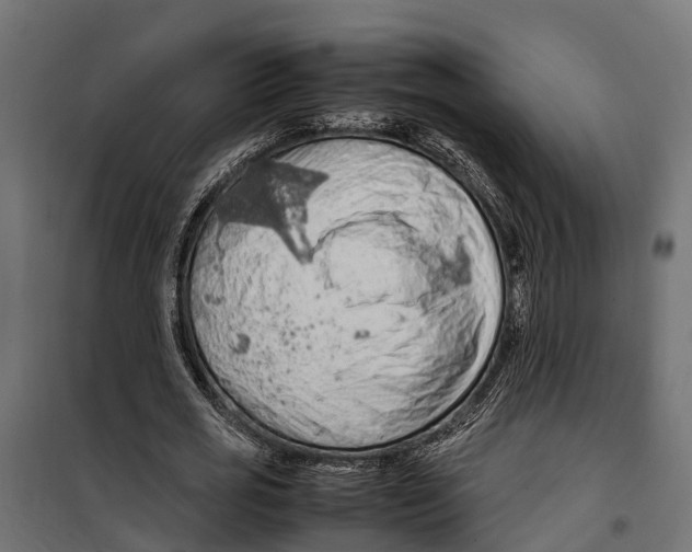 X0000099980725200806201425