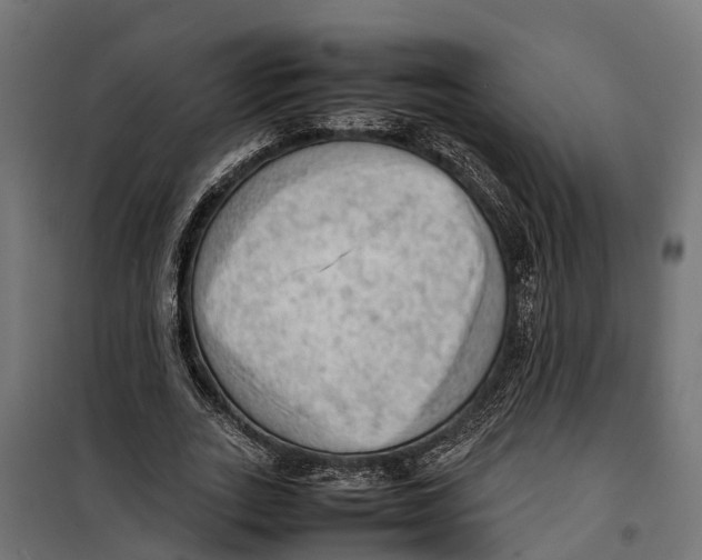 X0000099980727200806201425