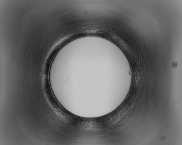 X0000099980728200806201425