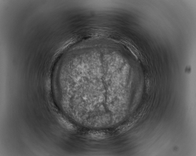 X0000099980729200806201425