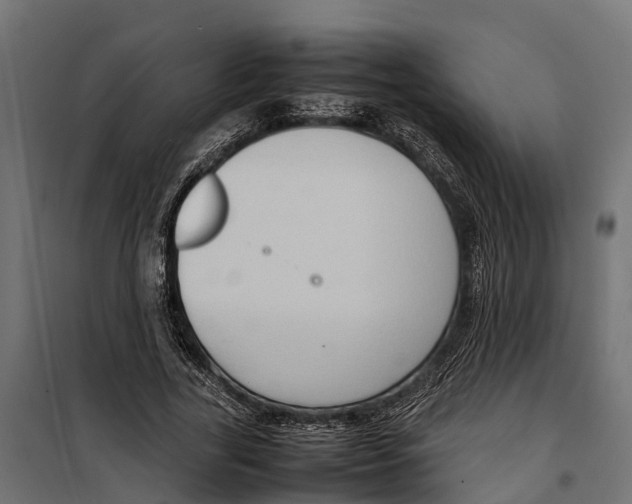 X0000099980731200806201425