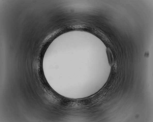 X0000099980732200806201425