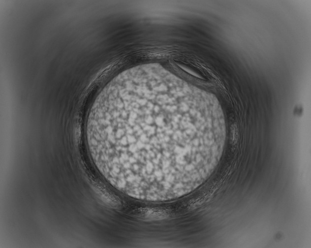 X0000099980733200806201425