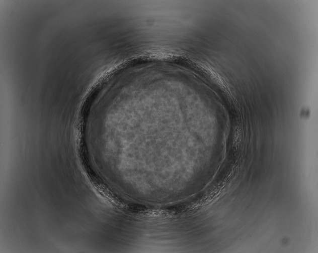 X0000099980736200806201425