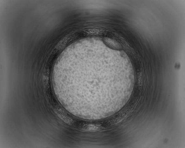 X0000099980737200806201425