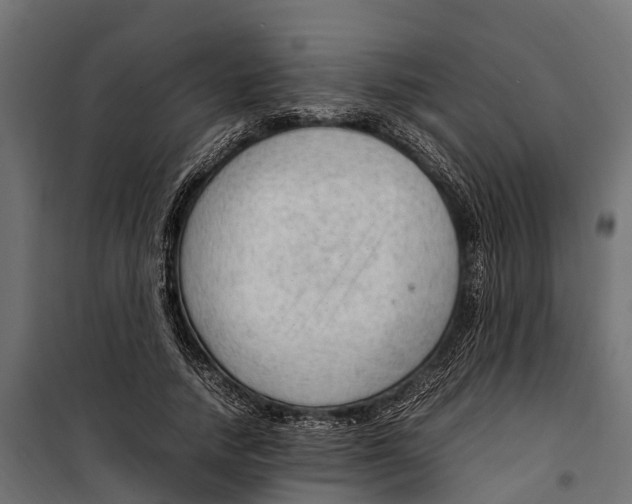 X0000099980738200806201425