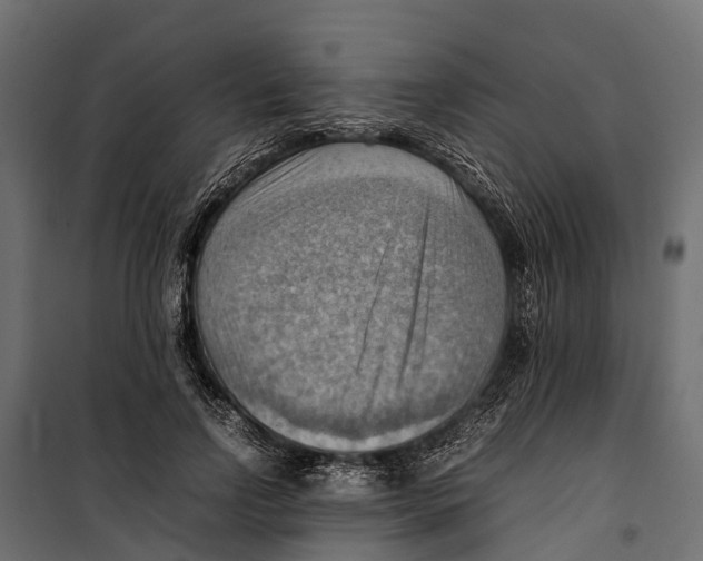 X0000099980742200806201425