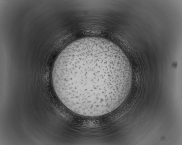 X0000099980745200806201425