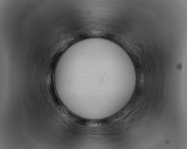 X0000099980746200806201425