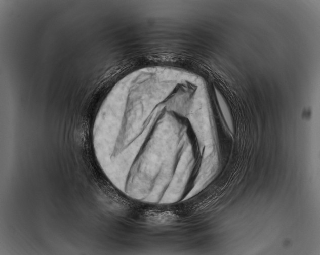 X0000099980747200806201425